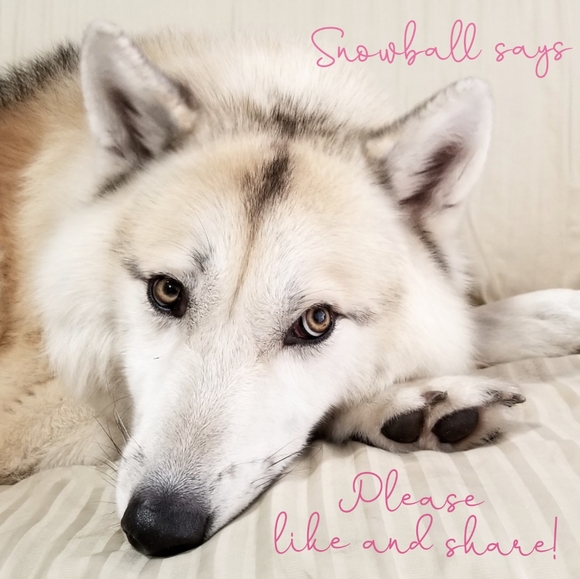 Welcome to my shop! - Picture 3 of 3